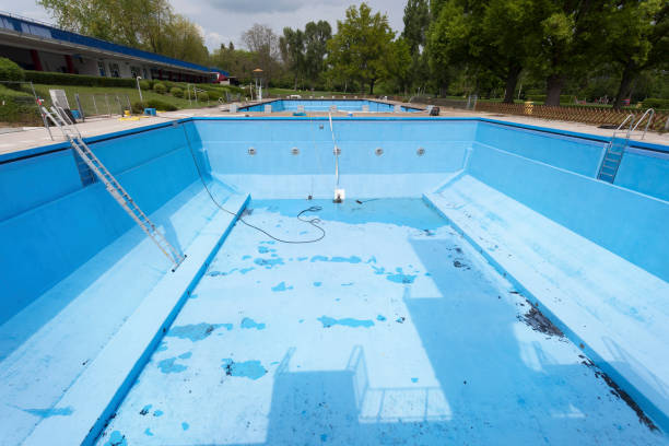 Best Mold removal after water damage  in Saltville, VA