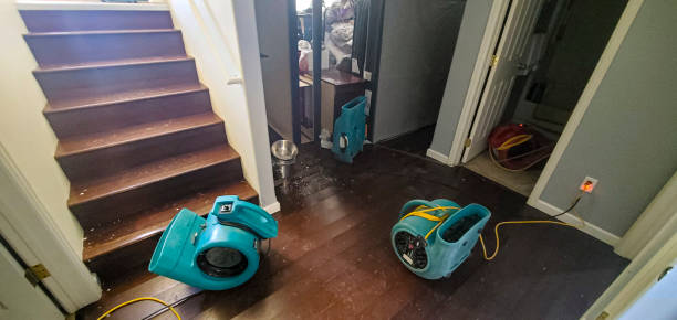 Best Flood restoration services  in Saltville, VA