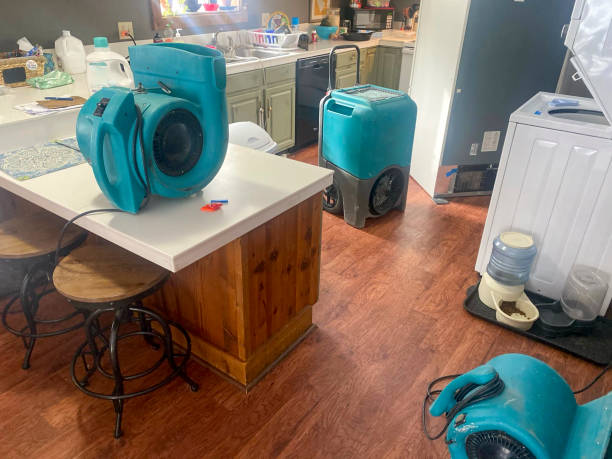 Carpet water damage restoration in VA