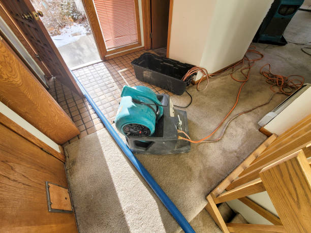 Best Professional water damage repair  in Saltville, VA