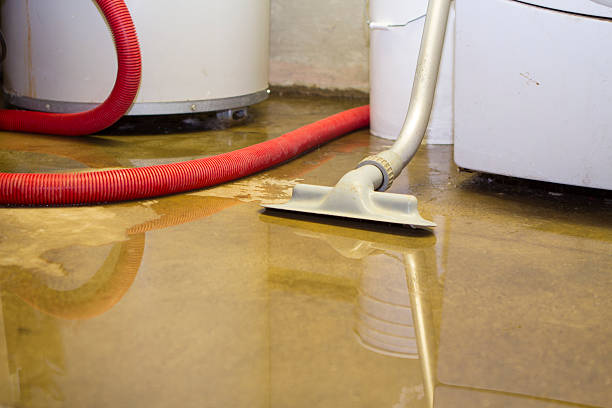 Best Commercial water damage restoration  in Saltville, VA