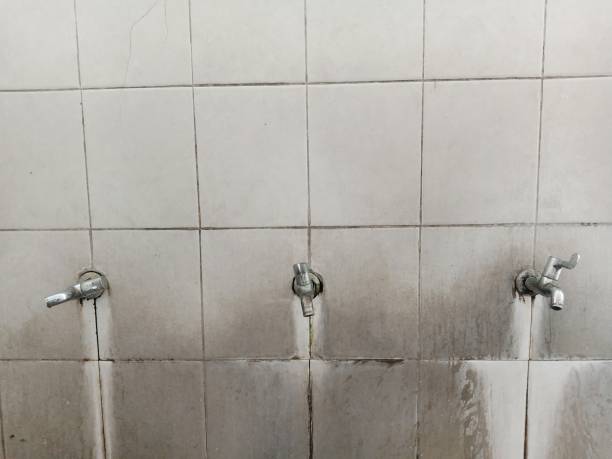  Saltville, VA Water damage restoration Pros