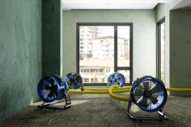 Best 24-hour water damage restoration  in Saltville, VA